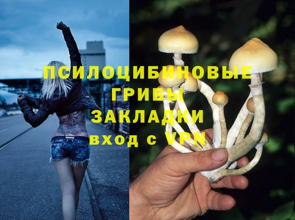 2c-b Мегион