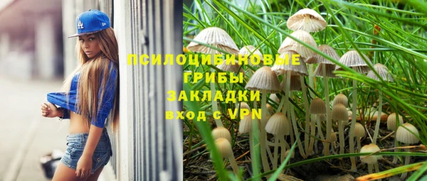 соль ск Михайловка