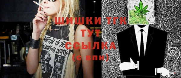 тгк Михайлов