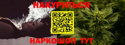прущие грибы Дубна