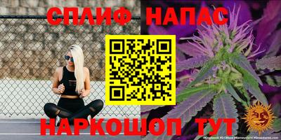 бошки Донецк