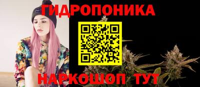 прущие грибы Дубна