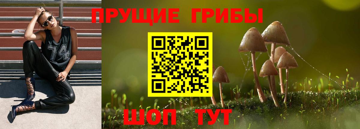 Псилоцибиновые грибы Psilocybe Лосино-Петровский